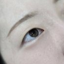 노원구 속눈썹펌 추천, 중계역 뷰티앤리 무쌍 CC컬 케라틴앰플펌 대만족 후기