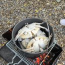 평창강펜션 | 캠핑10) 강원도 영월 평창강 바로 앞 "마루펜션 캠핑장" 이용 후기(25년 10월)