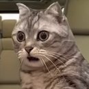 마라하오 이미지