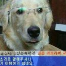 지금 이미지
