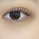 아룸뷰티 이미지