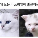 (주)남산 이미지