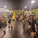 BEE BOXING GYM 이미지