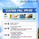 고고여행사