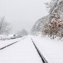 사시사철-풍요 이미지