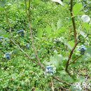 산여울농장 이미지