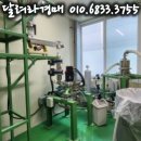 케이앤피나노 네이버블로그