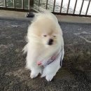 주식회사 이소 이미지