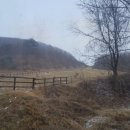 하백목장 이미지