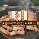 육치미 이미지