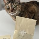 다빈한의원 | 쉬어가는 8월 일상 모음