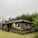 한마음초등로 | 2023.04.14-16 제주도여행 서귀포 표선 제주스러운 감성숙소 추천 ‘담이네 사랑채’(에어비엔비 예약)