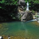 장산사 Daum카페
