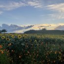 연천호로고루 이미지