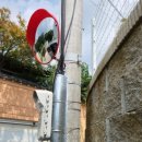 반사경전봇대 이미지