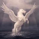 페가수스 이미지