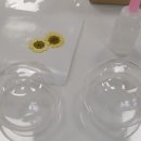 잔누르미 이미지