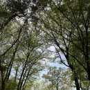 동백산오름공원 테니스장 네이버블로그
