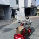 대림오토바이진주대리점 | 진주 오토바이 [대림 진주 대리점] 한 솜 모터스 노인...전동 사륜오토바이(노인용 전동차) E-스타...