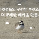 서울참새 이미지