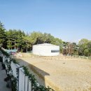 유성승마장 이미지