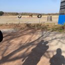 이안목장 이미지