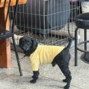 종점가든 | [가평] 유명산 종점가든 잣칼국수 후기｜찐로컬 감성 가득한 맛집.내돈내산.