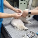 통일동물병원 이미지