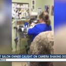 해피퍼피 미용실 이미지