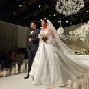 김효주축사 이미지