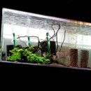 코스비한의원 | 창원수족관추천)금손사장님이 계신 '아쿠아갤러리 여백'