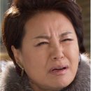 꽁냥이놀이터 이미지