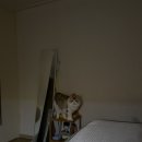 화화불닭발불날개 이미지