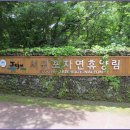 [5월 21일(토요일)]한라산 둘레길 트래킹 이미지