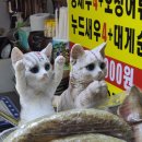 왕언니튀김집