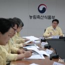 백수축산 뉴시스