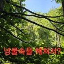 천마약초