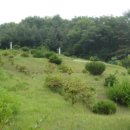 묵리주유소 이미지