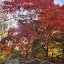새마을교 | 북한산 등산 | 비오는 오후 단풍놀이 백운대 등산 최단거리 소요시간,후기
