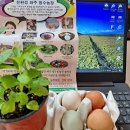 정수농장 이미지