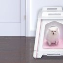 아베크 락 이미지