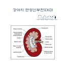24시 청주이음동물의료센터 이미지