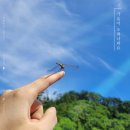 고닥
