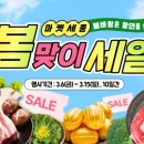 미친과일마켓