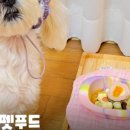 와락펫푸드 이미지