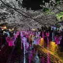보름달타코야끼;떡볶이 | [공지] 진해 군항제 밤벚꽃 후기 , 여좌천 로망스다리 밤에 꼭 가야 하는 이유 (ft. 리본 포토존)