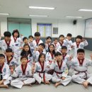 용인대용전태권도 이미지