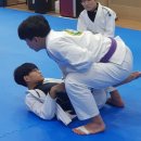 BD 주짓수 이미지