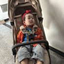 좋은나무어린이집 | 육아일기 | 18개월 아기, 결혼식 참석을 위해 비행기 타고 진주로 (559~565일)