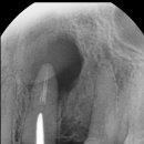 이(e)-밝은치과의원 이미지